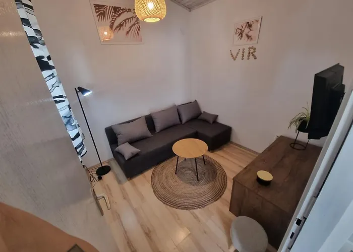 Vi & La Electric Scooters Included Вир